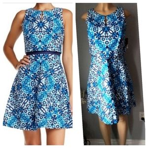 Taylor Floral  Fit & Flare Dress
